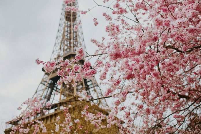 Paris-in-the-Spring