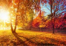 Vremenska prognoza: Iduće sedmice sunčano vrijeme i rast temperatura zraka