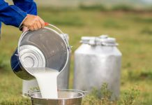 Vlada TK traži mjere za očuvanje domaće proizvodnje mlijeka