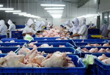 Europska unija zabranila uvoz pilećeg mesa iz BiH!