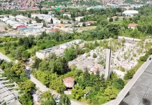 Nakon što je Bingo kupio imovinu Sarabona, dionice skočile čak 388 posto